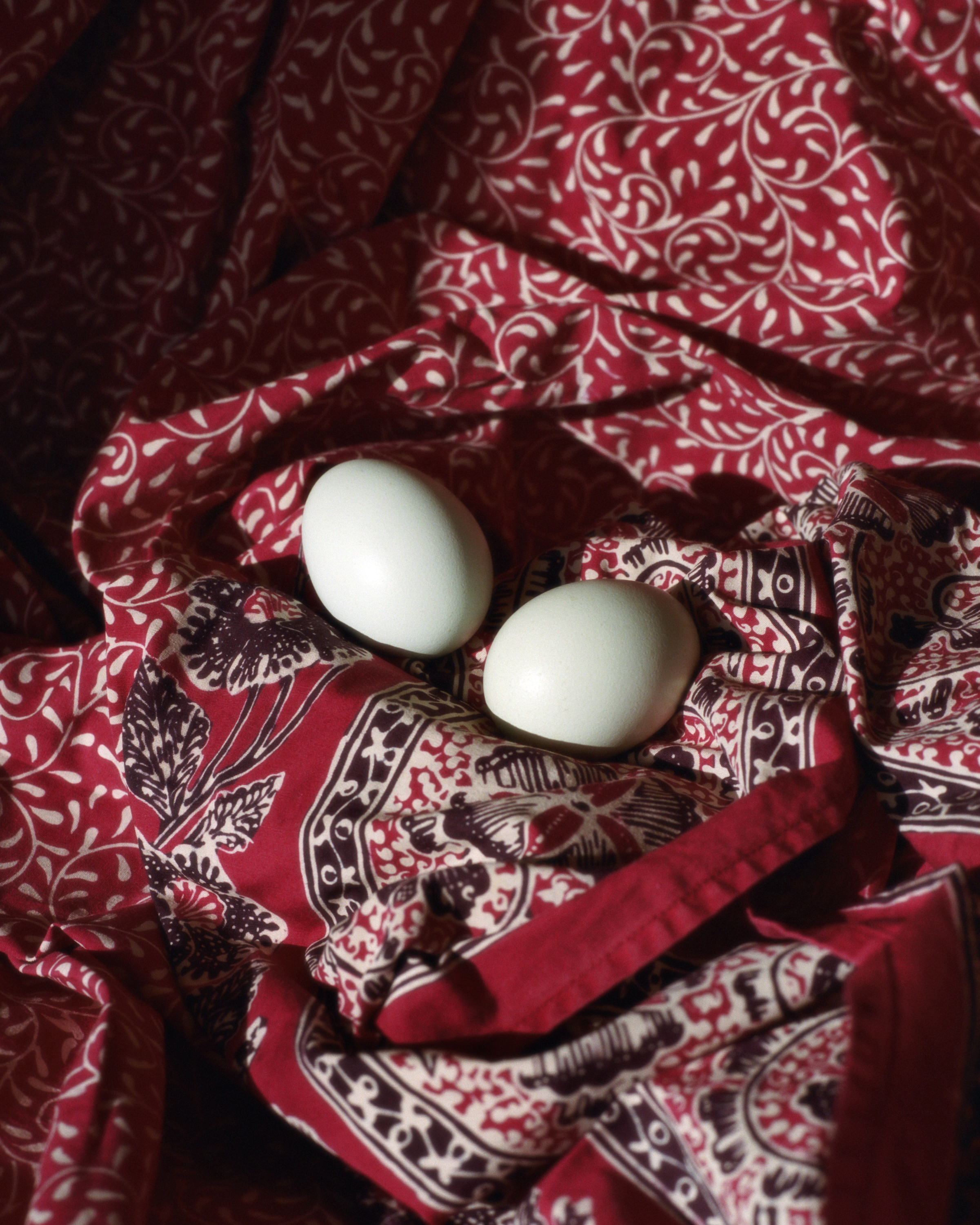 Memories of Home: A Conversation with Nina&nbsp;Tanujaya